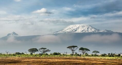 Вулкан Килиманджаро + заповедники Нгоронгоро и Тарангире