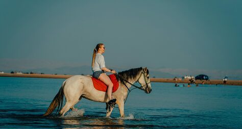 Восточные скачки: катание на лошадях и верблюдах в Хургаде