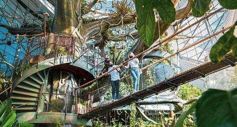 Джунгли Амазонии в Дубае: билет в музей Зелёная планета