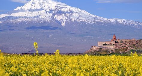 Вай-вай, винный край: дегустации и топовые достопримечательности Армении