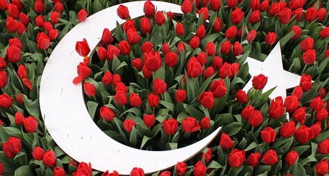 Османские султаны и их тюльпаны