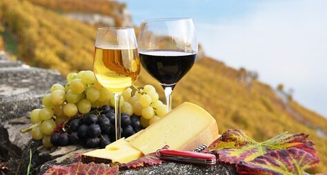 Масло, вина, пикарино: гастрономические удовольствия под солнцем Тосканы