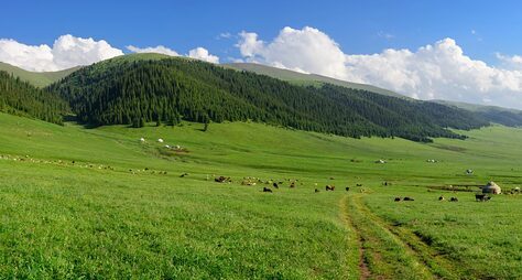 Плато Асы и водопад Аюлы: групповая экскурсия