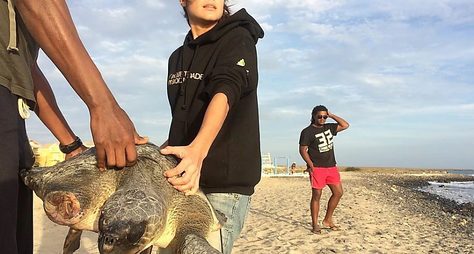 Защита черепах на Кабо-Верде