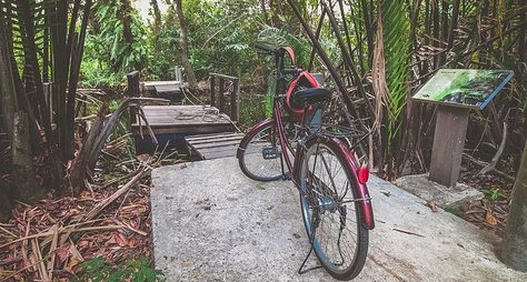 Велотур по джунглям Банг Крачао