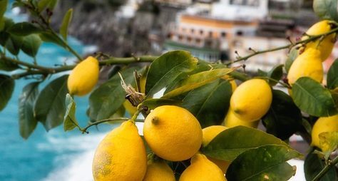 Амальфитанское побережье: лимоны и лимончелло!