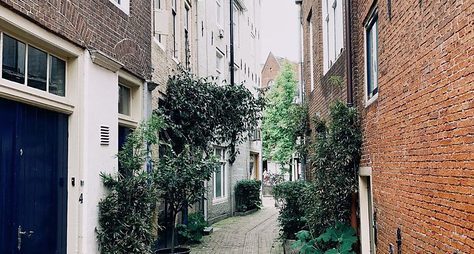 Нетипичный Амстердам: от центра к жилым кварталам