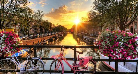 Влюбиться в Амстердам за один день!