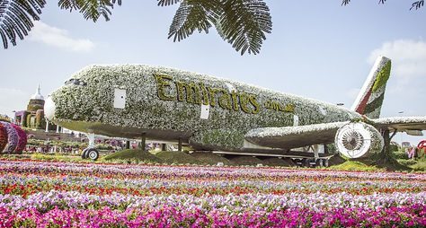Парк цветов и всемирная ярмарка Global Village в Дубае