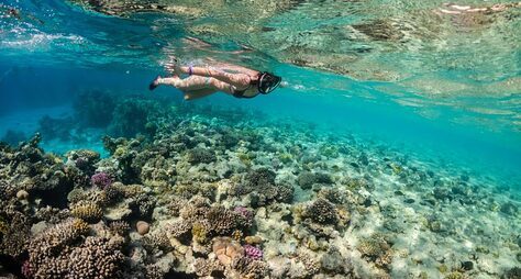 Шарм-эль-Нага: коралловый рай