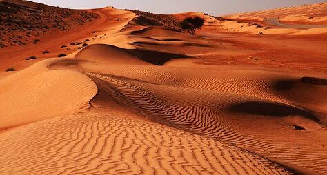 Поездка на джипе по пустыне Вахиба