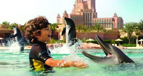 Плавание с дельфинами в Дубае