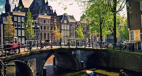 Первые шаги в Амстердаме