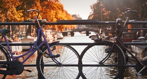 Велопрогулка по Амстердаму: влюбиться в город за три часа