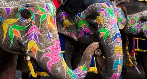 Рукодельный тур в Индию: мастер-классы по вышивке и рисование на слонах