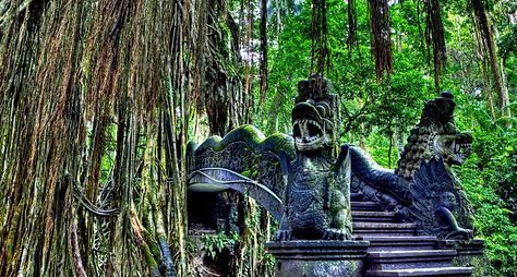 Убуд — город ремесел и заповедной природы Бали