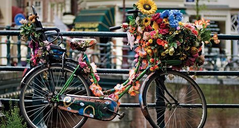 Амстердам — велосипедная столица Европы