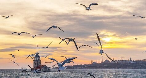 Душевная прогулка по Стамбулу: от мечетей до хипстеров