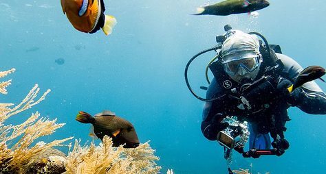 Бали: о, дивный подводный мир!