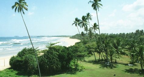 Шри Ланка. Пляжи, серфинг, погоня за китами и черепахами