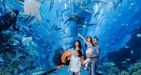 Билет 2 в 1: IMG Worlds of Adventure + Дубайский аквариум