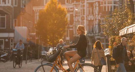 Амстердам: инструкция по применению