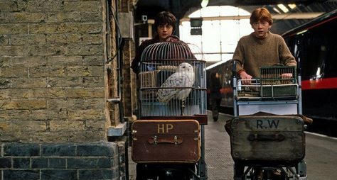 Гарри Поттер на улицах Лондона
