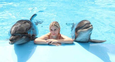 Дельфинарий в Хургаде: групповая поездка
