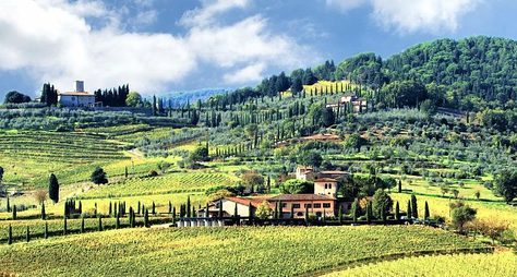 Та самая Тоскана: вино в замке Кьянти и пейзажи