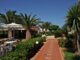 Cretan Garden Hotel